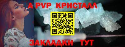 спиды Донской