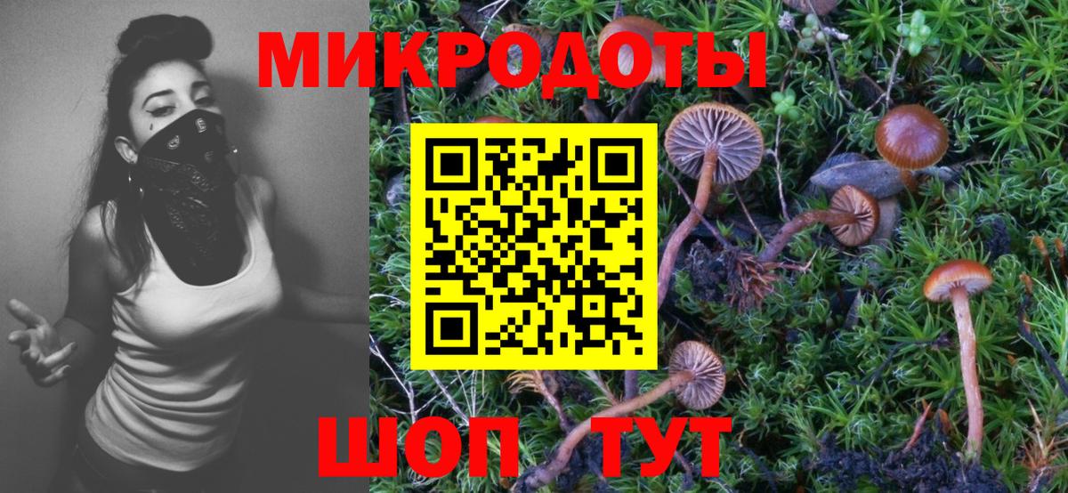 Псилоцибиновые грибы мухоморы Армавир