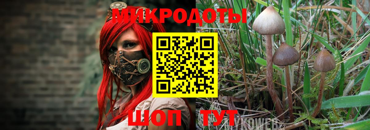 Псилоцибиновые грибы GOLDEN TEACHER  Галлюциногенные грибы MAGIC MUSHROOMS  Армавир 