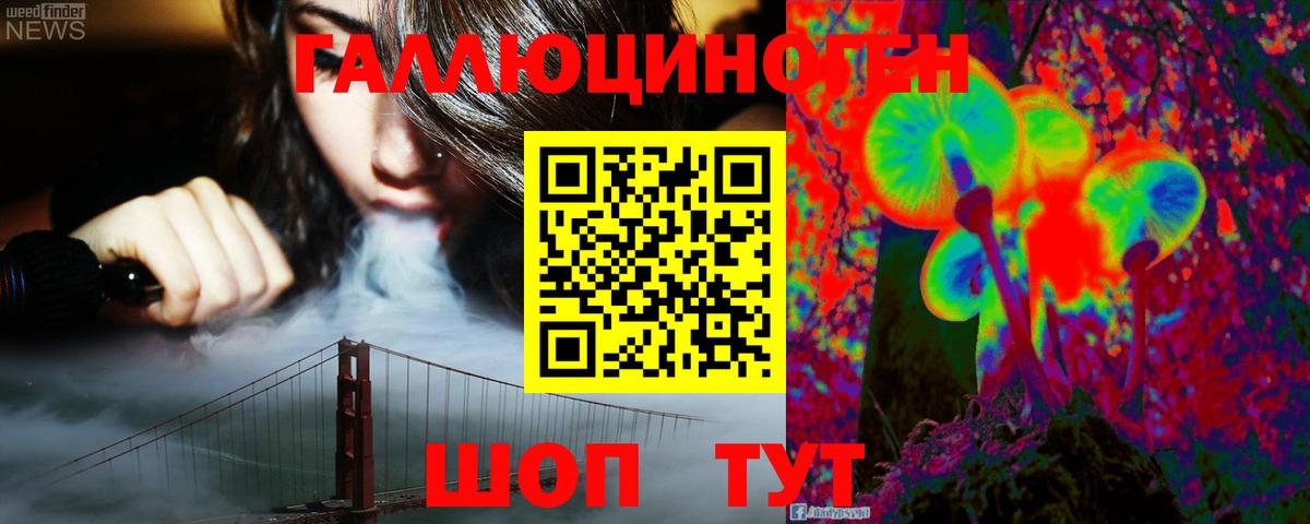 Армавир  Псилоцибиновые грибы Psilocybe  Вход с VPN 